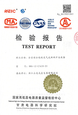 检验报告RM6-12-C/630-25